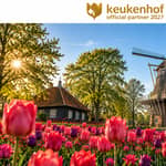 Amsterdam: ingresso al Keukenhof e bus navetta con ritorno flessibile