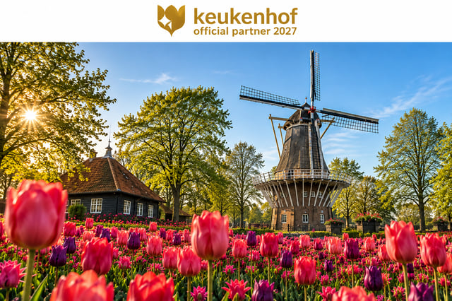 Amsterdam: Eintritt zum Keukenhof &amp; Shuttlebus mit flexibler Rückfahrt