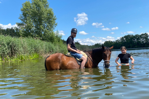 جولة لركوب الخيل بالقرب من براغجولة ركوب الخيل بالقرب من براغ