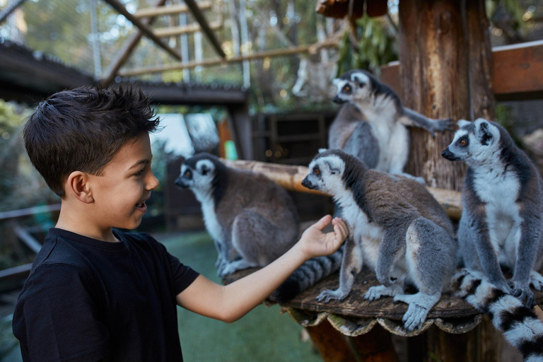 Benidorm: Mundomar Animal Park Entrance Ticket Benidorm: Mundomar Animal Park Afternoon Ticket