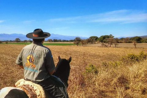 Salta: Full-Day Horseback Ride with Mountain Picnic