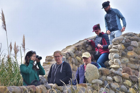 Z Quito: Całodniowa wycieczka kulturalno-zakupowa w okolice Otavalo