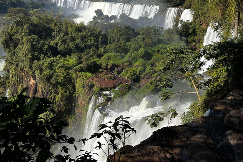Iguassu Falls: Private Tour Argentina side