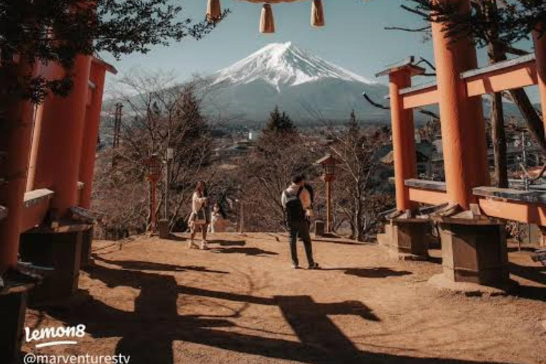 From Tokyo: Mt. Fuji & Hakone Private Scenic Day Tour