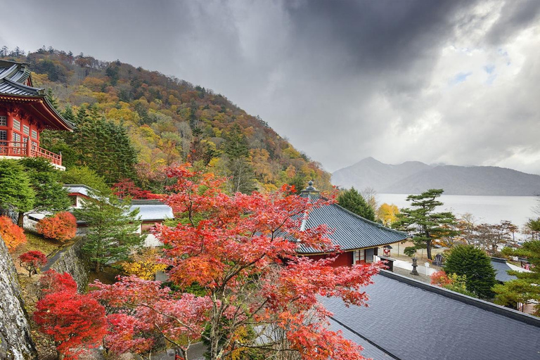 Nikko: Private Day Trip Nikko Private Day Trip with Hotel pickup/drop off
