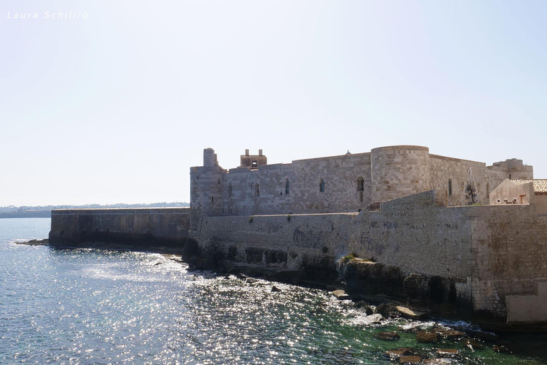 De Catane: visite culturelle et historique de Syracuse et Noto