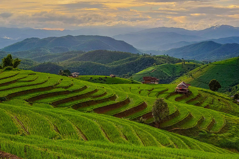 Chiang Mai : Pa Bong Piang Reisterrassen &amp; Doi Inthanon