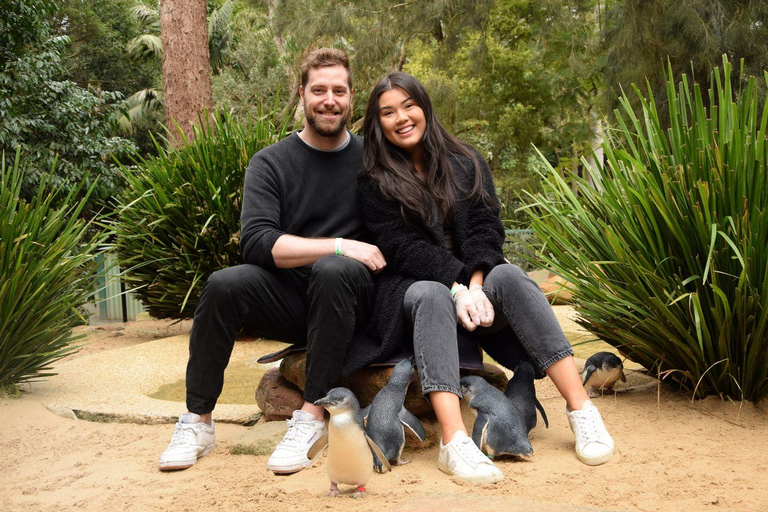 Sydney: Featherdale Wildlife Park Private Tour