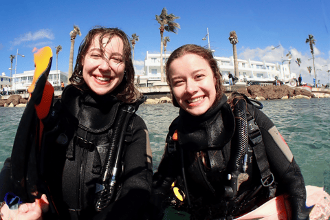 Paphos: Mediterrane duiktour van een halve dagPaphos: ontdekkingstocht van een halve dag duiken in de Middellandse Zee