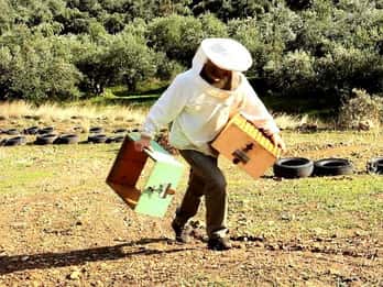 Sabores de Creta desde Chania: Excursión con cata de vino y aceite de oliva