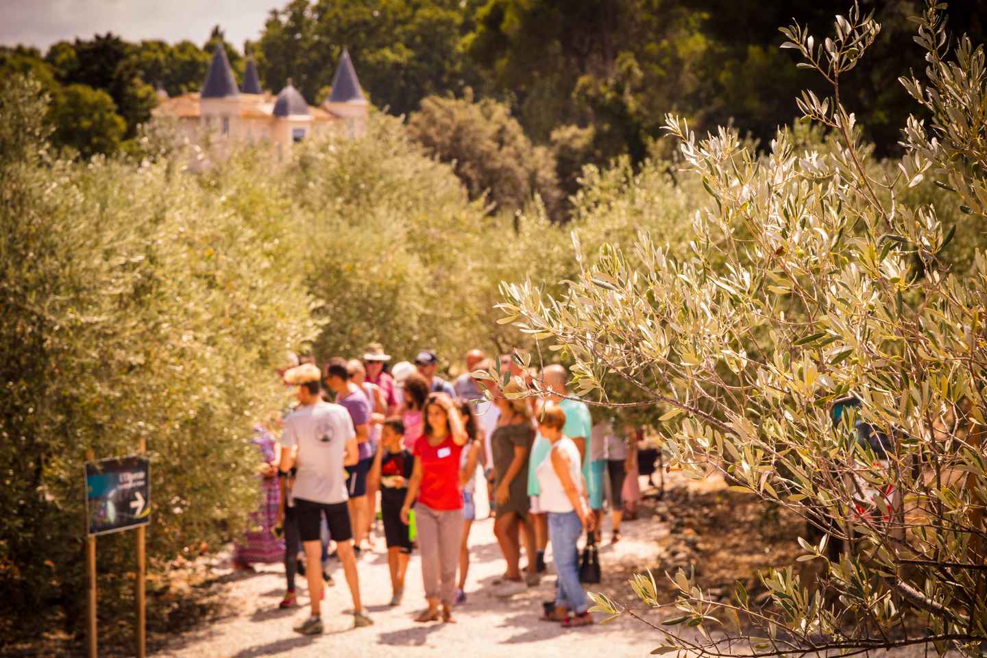 L'Oulibo oil mill: Guided tour