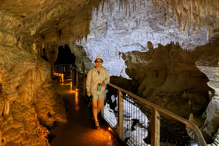 Private Day Tour: Waitomo Glowworms & Hobbiton Movie Set