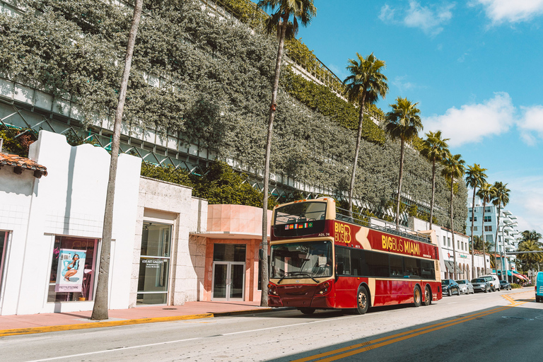 Miami: Hop-on Hop-off Sightseeing Tour by Open-top Bus 1-Day Ticket