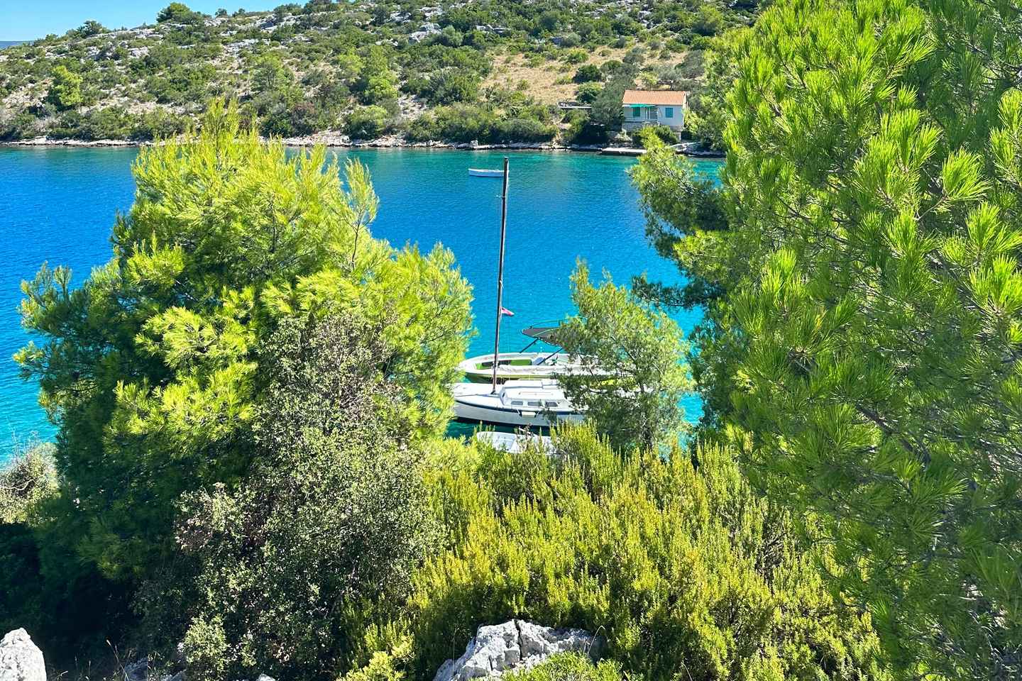 Zadar: Hraðbátsferð um eyjaklasann með víni, ávöxtum og snorkli