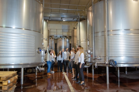 Wine tasting in the best winery in Spain from Alicante Wine tasting in the best winery in Spain