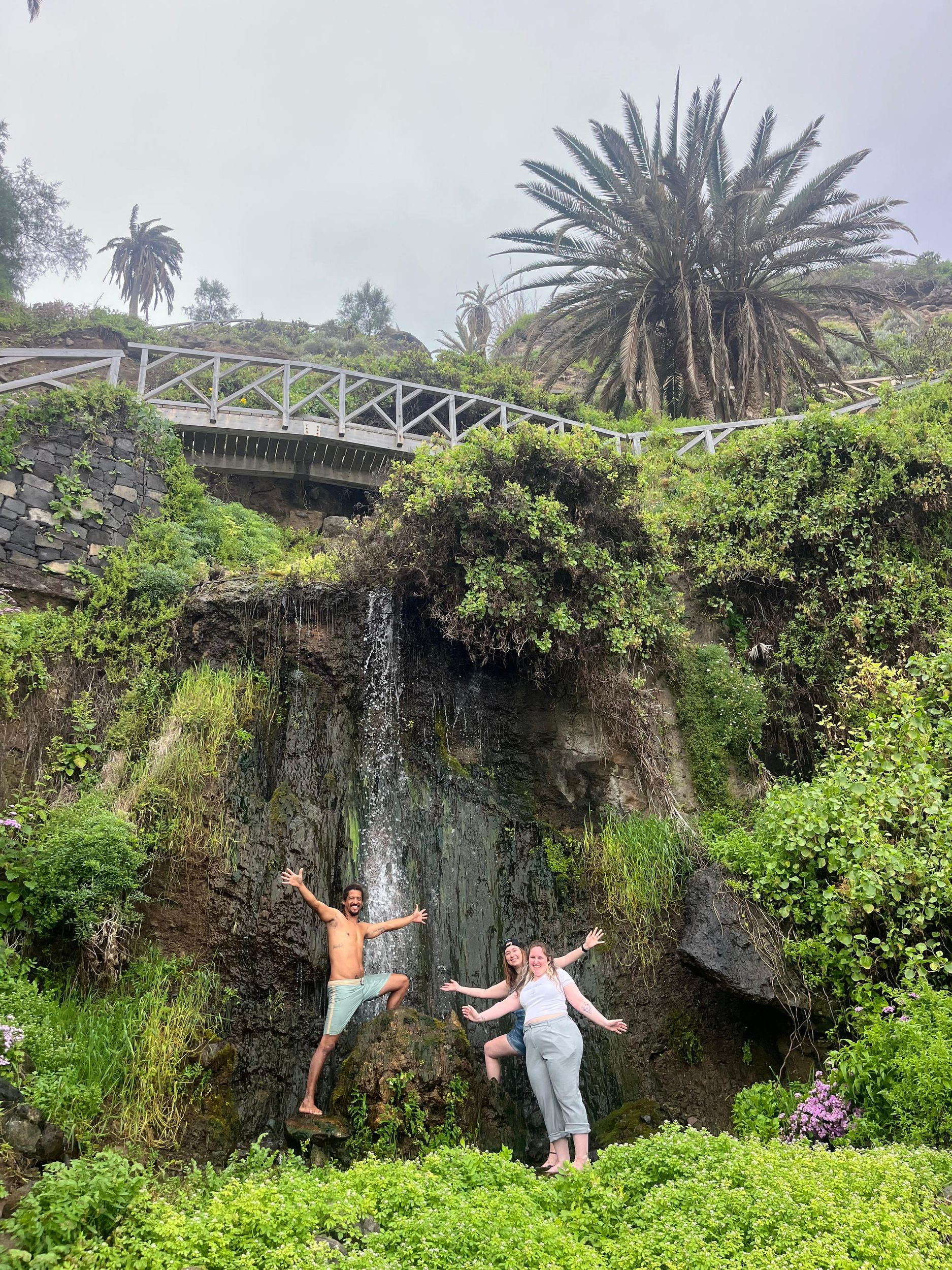 Teneriffa: Wanderung zum geheimen Wasserfall und Touren in Puerto de la Cruz