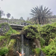 Teneriffa: Städtetouren in Puerto de la Cruz & versteckter Wasserfall