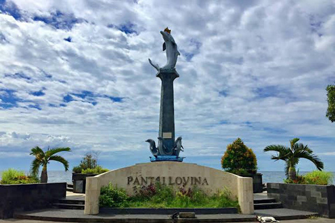 Bali: Shore Excursion Cruise Ship From Celukan Bawang Port Customize Your Own Itinerary (Not Include Entrance Tickets)