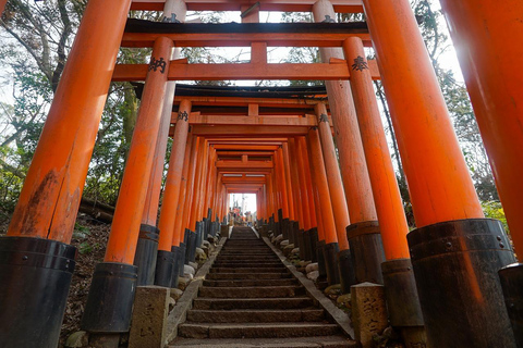 京都与奈良：一日游亮点之旅，专属私人轿车服务京都与奈良：一日游精华行程，专属私人轿车服务