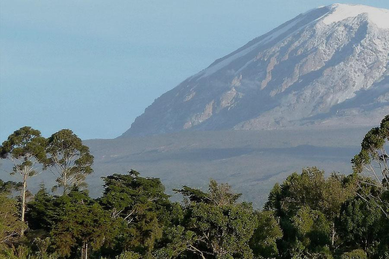 Kilimanjaro: 10-Day Northern Circuit Trek with Airport …