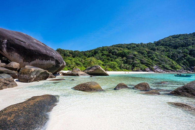 Au départ de Phuket : Excursion en bateau rapide pour la plongée en apnée dans les îles Similan