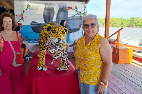 Manaus: Rio Negro and Solimões Tour Manaus: Rio Negro and Solimões River Tour