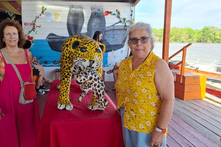 Manaus: Rio Negro and Solimões Tour Manaus: Rio Negro and Solimões River Tour