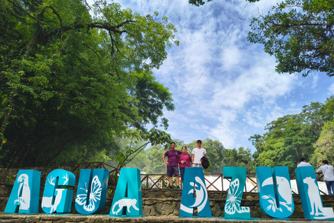 SIGHTSEEING TOUR OF PALENQUE, AGUA AZUL WATERFALLS, AND MISOL-HA SIGHTSEEING TOUR TO PALENQUE, AGUA AZUL WATERFALLS, AND MISOL-HA