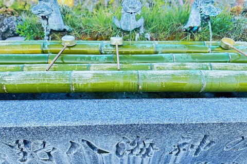 Tokyo: Mt. Fuji Tour, Hakone Ropeway, Owakudani, Lake Ashi Mt. Fuji Day Tour--Departure From Tokyo Station 8:00am