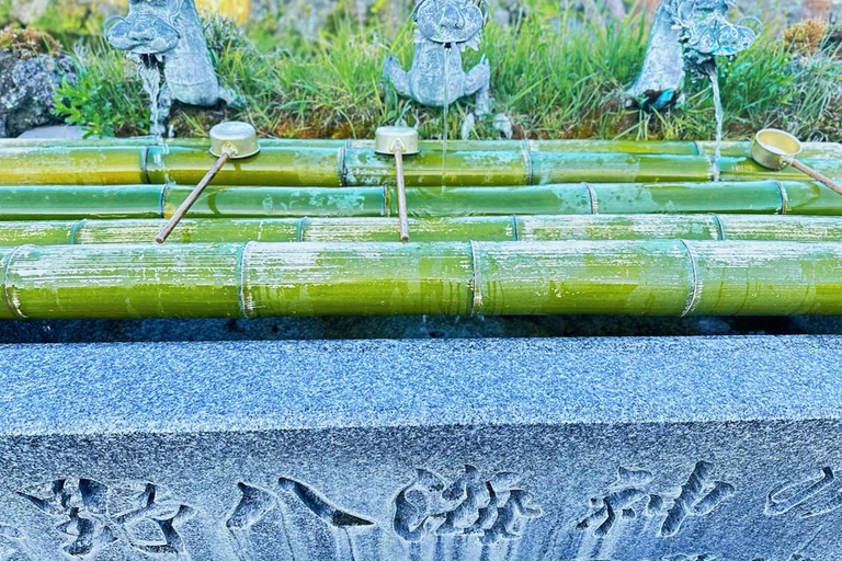 Tokyo: Mt. Fuji Tour, Hakone Ropeway, Owakudani, Lake Ashi Mt. Fuji Day Tour--Departure From Tokyo Station 8:00am