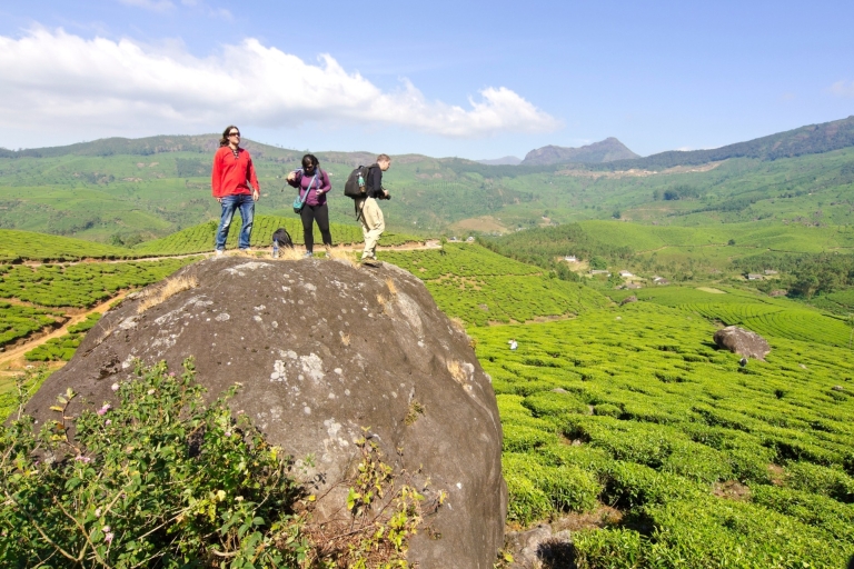 From Kochi: Munnar & Tea Museum Private Guided Tour From Kochi: One Day Tour to Munnar with transfers