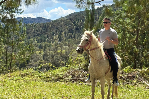 2-hour horseback riding + Private transportation + Photos & videos + Gift for the first 5 to book 2-hour horseback ride + private transportation + photos & videos + gift for the first 5 to book.