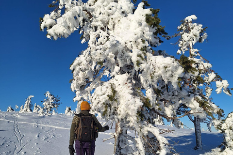 Levi: Snowshoeing Adventure in Arctic Shaman Village