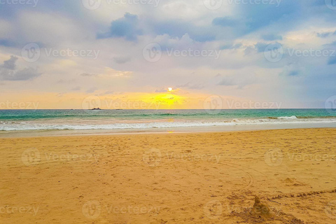 Bentota: Madu River Safari, Turtle Conservation & Beach Day