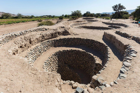 De Ica: Excursão Arqueológica de 1 dia em Nazca