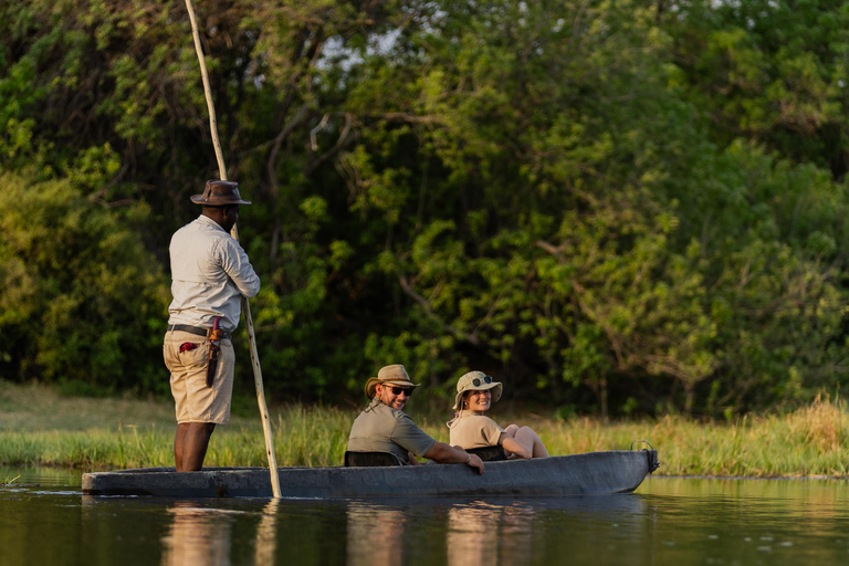 Mokoro Safari Experience in the Okavango Delta