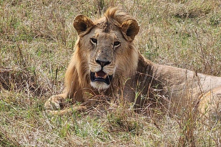 Lake Nakuru & Naivasha National Park Wildlife Highlights