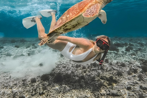 Lombok : Viagem de snorkeling (Gili Trawangan, Meno e Gili Air)