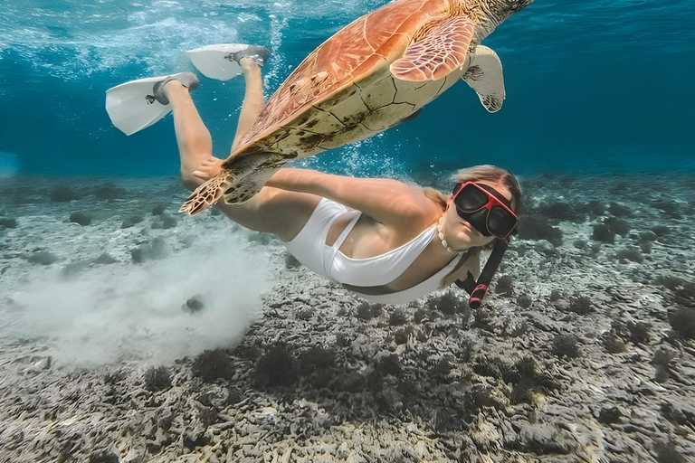 Lombok : Gita di snorkeling (Gili Trawangan, Meno e Gili Air)