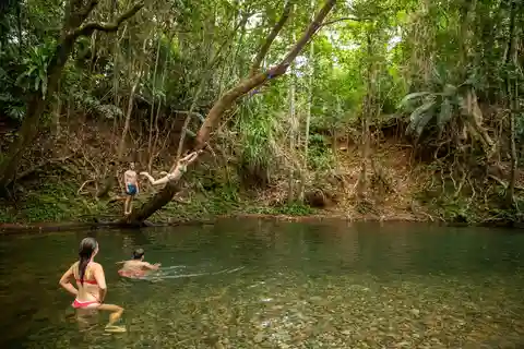 Cairns: Cape Tribulation, Beaches, Crocs & Swimming Day Tour
