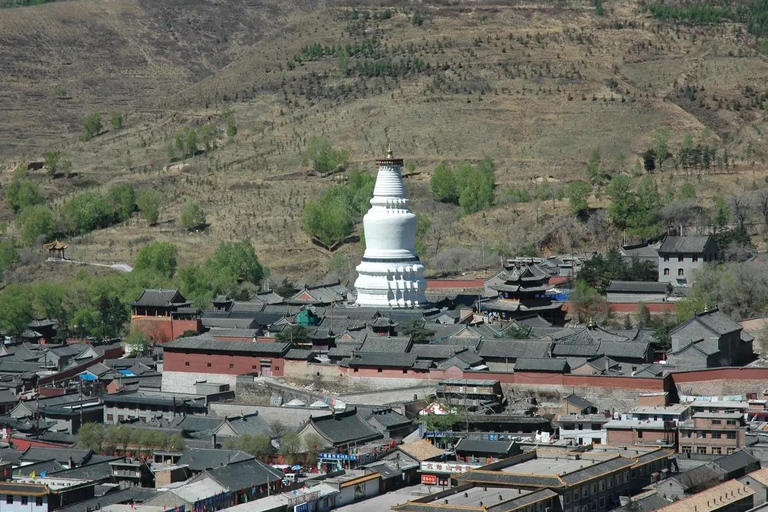 Shanxi: Private Tour to Yungang Caves & Wutai Mountain