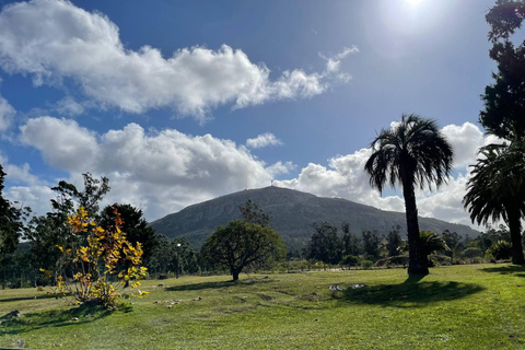 Punta del Este e Piriapolis: tour di punta con trasferimento incluso