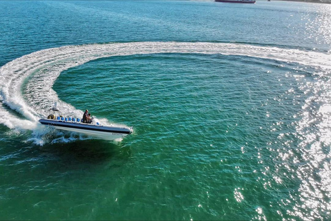 Cancun: Expedição na selva com passeio de lancha e mergulho com snorkel