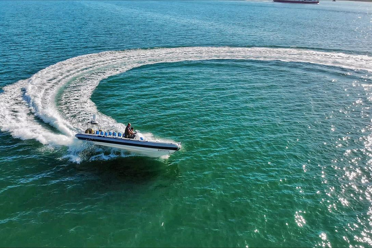 Cancun: Expedição na selva com passeio de lancha e mergulho com snorkel