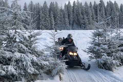 Zakopane Snowmobiles Ride, Bonfire &amp; Transfers from KrakowTwilight Trails: Snowmobiling Under the Stars