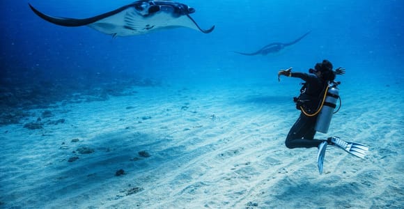 From Bali: Beginner Scuba Diving to Nusa Penida & Lembongan
