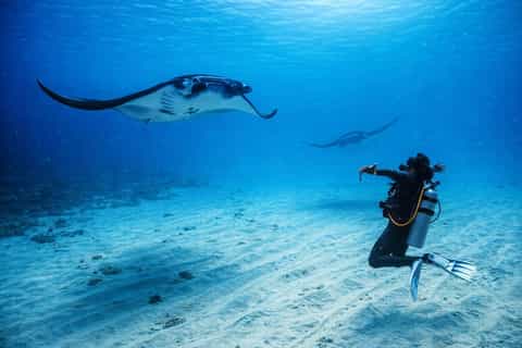 From Bali: Beginner Scuba Diving to Nusa Penida & Lembongan - Image 3
