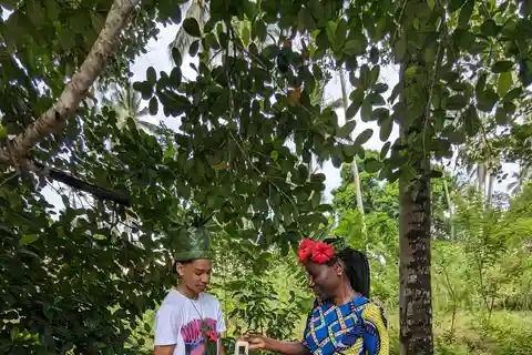 Zanzíbar: el paraíso de África Paquete turístico completo