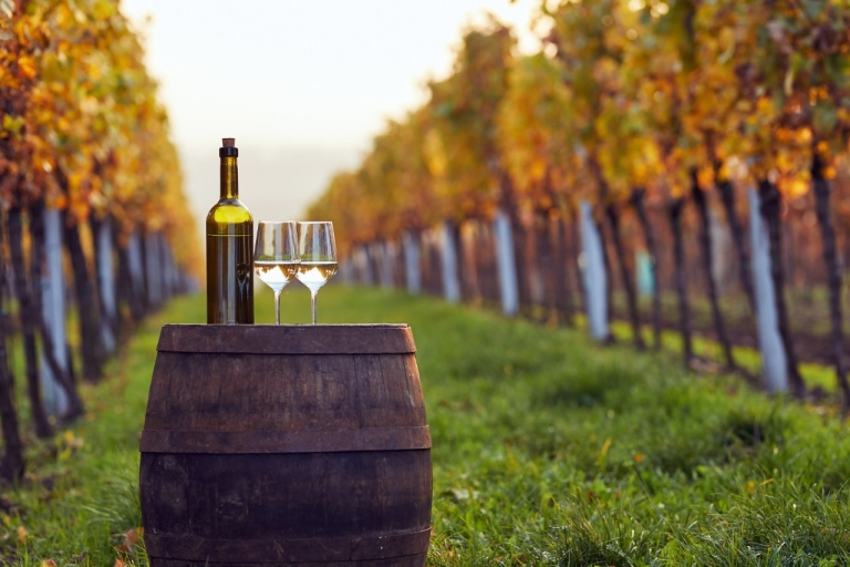 Klassieke wijnproeverij door BeratVan Berat: wijnproeverij