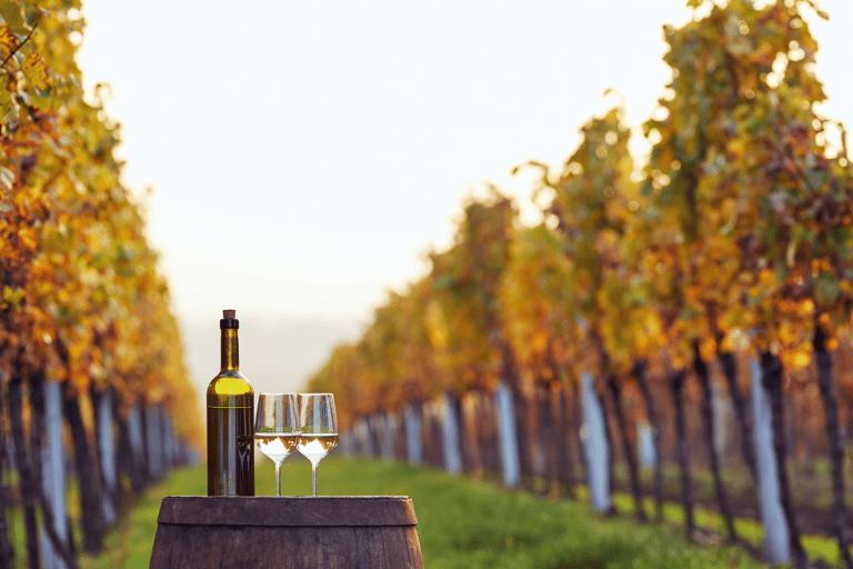 Visite classique de dégustation de vins de BeratDe Berat: visite de dégustation de vin